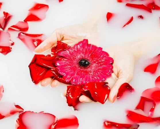 Ritual de chocolate blanco y rosa bulgara