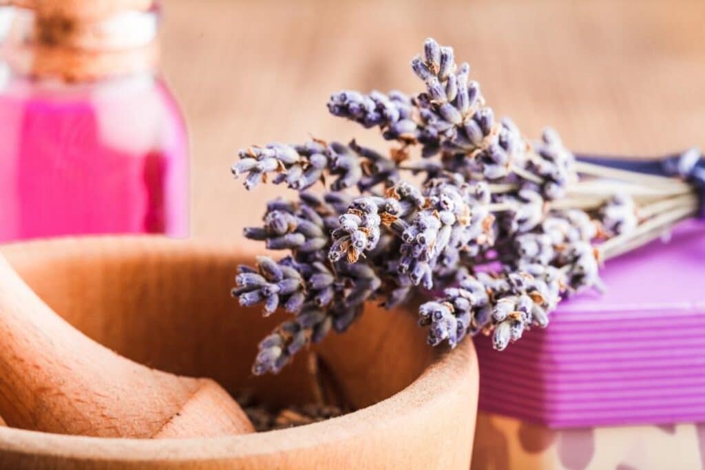 Aromaterapia en tu rutina de cuidado facial Aromaterapia en tu rutina de cuidado facial